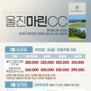 스카이마린 이미지