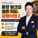 수다인텔리전스 | 양치승 걸뱅이맵 완벽 활용 가이드