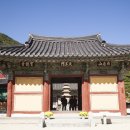 보경AD 이미지