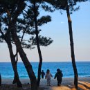 로니의 기차 | 신라모노그램강릉 레지던스 디럭스 객실 / 6세아이와 함께한 3박4일