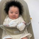 하루 마이데일리