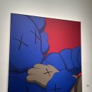 카우스 | 서울 마곡 가볼만한 곳 KAWS 카우스 전시회 방문 후기 및 굿즈 한정판 피규어 정보