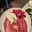 동그란,댕 이미지