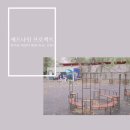씬나인 - 제주시 고성1길 12-3 | 씬나인