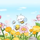 파파누리 이미지