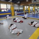 경희대 석사 엘리트 태권도장 이미지