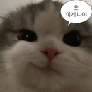 서유에너지 | Ep4. 1월 궁궐 생활.zip