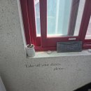 용산-89 | obud 오붓 웰니스 패스로 용산구 요가원 가본 후기 (추천인코드: O89P7GQ1)