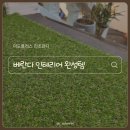 옥구인조잔디축구장 | 베란다 인조잔디 시공 후기 미도플러스 인조잔디매트로 분위기 확 바뀐 후기
