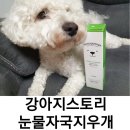 A0260 | 강아지눈물자국 지우개 강아지스토리