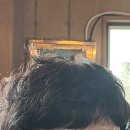 달뜨는목장 이미지