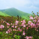석천농로 이미지