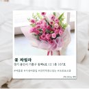 꽃집;동백 | [용인] 용인동백꽃집 꽃 파빌라 솔직후기