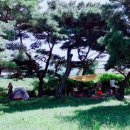 복싱코어 아카데미 이미지