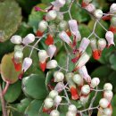 예당한의원 이미지