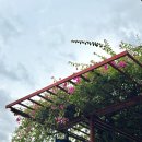 왓포태국마사지 | 태국 방콕 마사지 팁 가격 왓포 근처 Massage@Le(Tha Tian) 발마사지