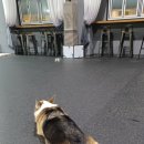 조아하멍 이미지