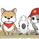 리브가유통 이미지