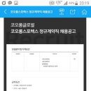 코오롱글로벌(주)스포렉스 타임스퀘어점 Daum카페