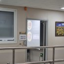 솔펫 동물병원 | 우송정보대학교 동물보건학과 리얼한 면접 후기!