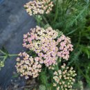 독골농장 이미지