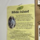 학동 아일랜드호텔 뒤편 공영주차장 주변 | 제주 노형 맛집 제주공항 근처 히비키아일랜드