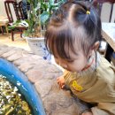 면목동-044 이미지