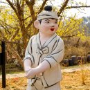 행복나들이불은마을 | 이천 산수유마을 백사 산수유축제 실시간 개화 경기도 나들이