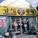 화성꽃농원 | 오산꽃집 금성꽃농원 선물용 꽃다발 픽업 후기
