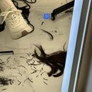 멍데이 살롱 | 동탄역미용실 매직셋팅 네이버예약1위 살롱오하이 실장 율 추천