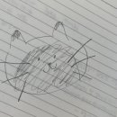 강다방 이미지