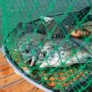 해성좌대 이미지