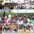 국민여가캠핑장 캠핑장 이미지