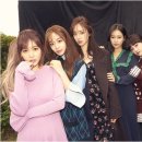 티아라 카카오 검색결과