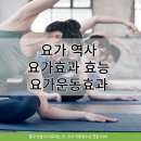 이편한 GYM | 요가 효과 뭔가요 요가 효능 운동 효과 역사 수지 상현동 광교 성복역 요가 코샤아동청소년GYM