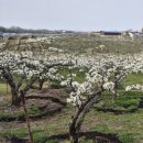 토성목장 이미지