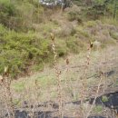 엄나무골농장 이미지