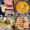 6고깃집 | 울산 남구 달동 맛집 내돈내산 구워주는 고기집 추천 6고깃집 달동본점