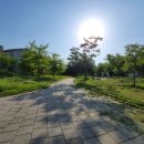 본산공원 이미지