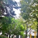 드레스룸 관리에 탁월한 에어락 미니스타일러, 우리집 미니의류관리기 활용 후기