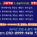 신도판매화성 Daum카페