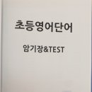 걱정없는 초등 영어공부 가경동영어학원 보낸 후기