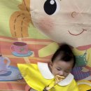 연꽃어린이집 | 롯데마트 문화센터 오감 &amp; 책 자연놀이 아이젬 [11주] 3~5월 봄학기 솔직 후기