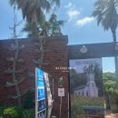 제주허브동산 | 제주 허브동산 아로마족욕 체험 후기