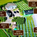 운악산포도체험장