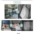 숙희네 개집 이미지