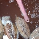 대천항수산물시장 이미지