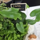 동진중학교 이미지