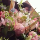 Flower늘봄 이미지