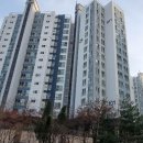 역골동로 네이버블로그